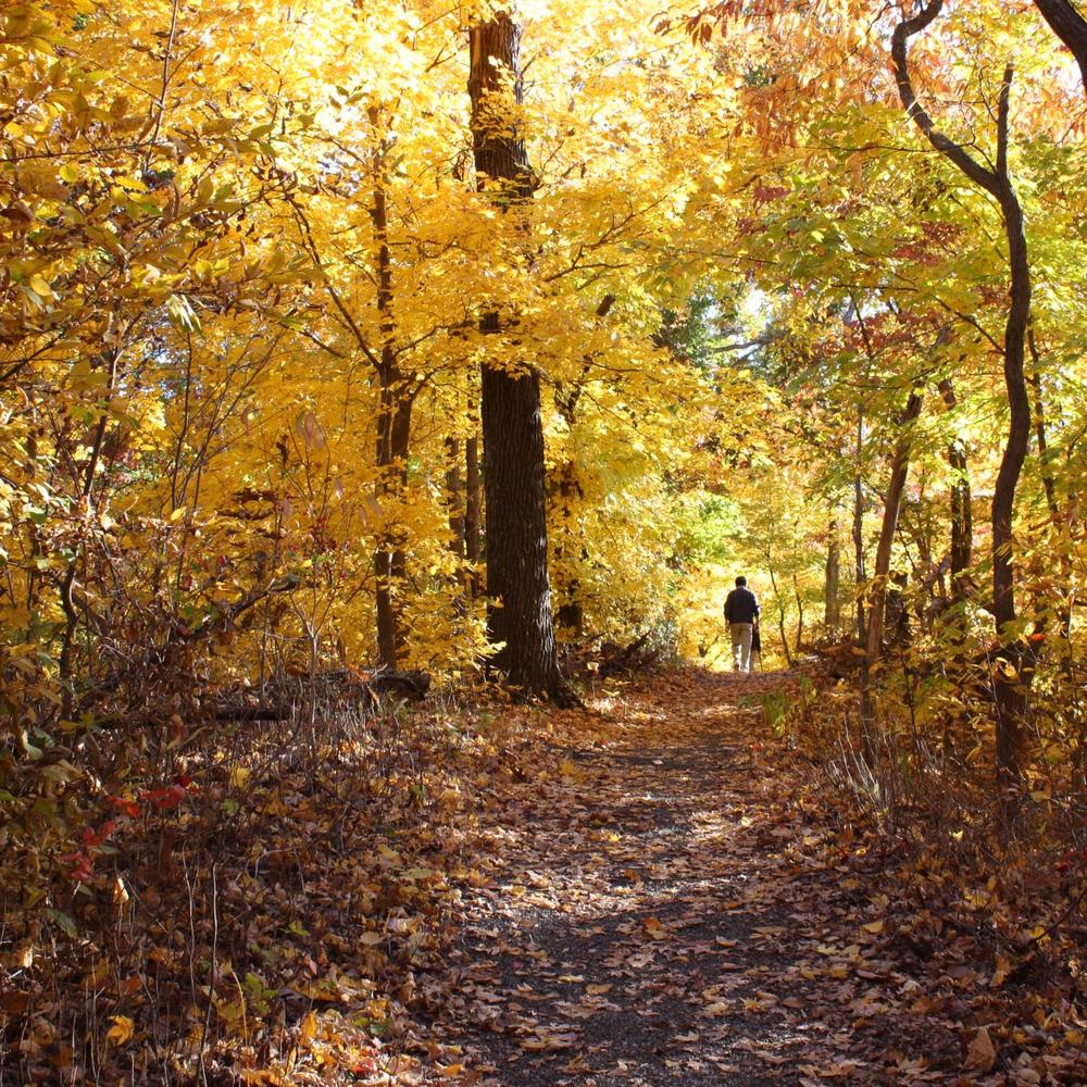 Meet your Posher, Jun